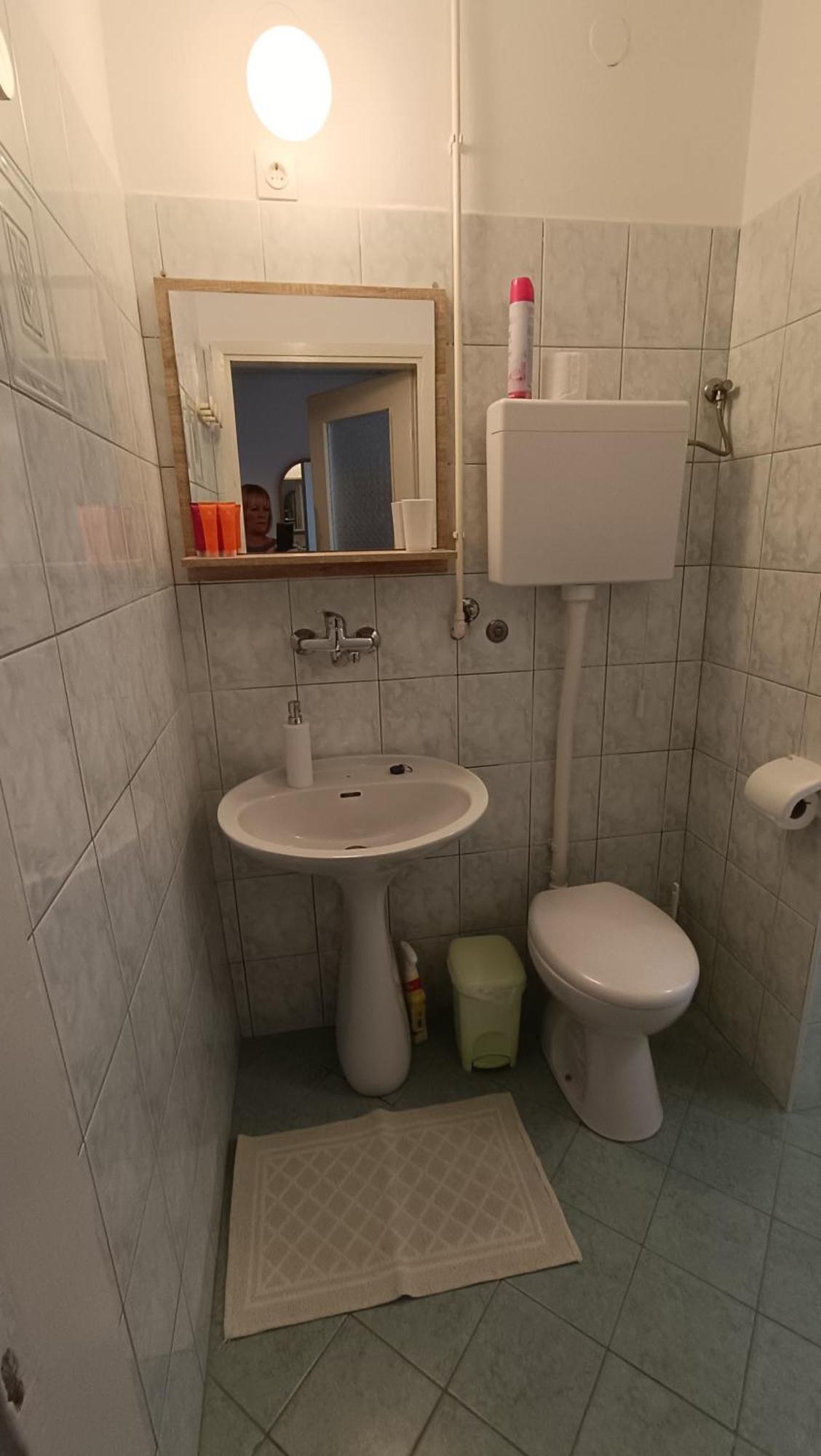 Apartament Gabriela *